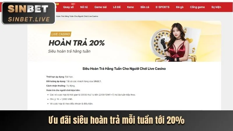 Biểu đồ các loại cookie khác nhau được sử dụng bởi 123b chính thức